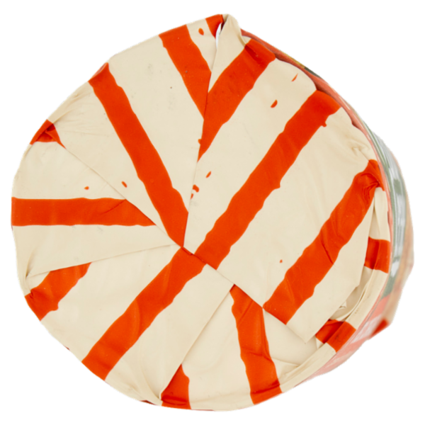 Gran Cereale Biscotti Gran cereale Riso e Cornflakes Biscotti Tubo 230 g