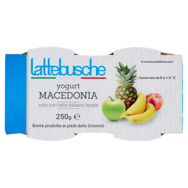 lattebusche yogurt Macedonia 2 x 125 g