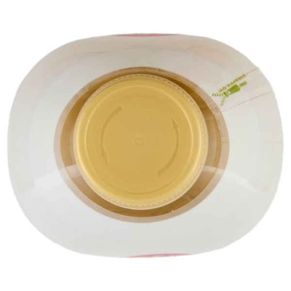 Sagra Olio di Semi di Girasole Alto Oleico 1 L