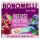 Bonomelli Infusi Fruttosi 100% Naturali Ciliegia e Mirtillo 12 Filtri 24 g