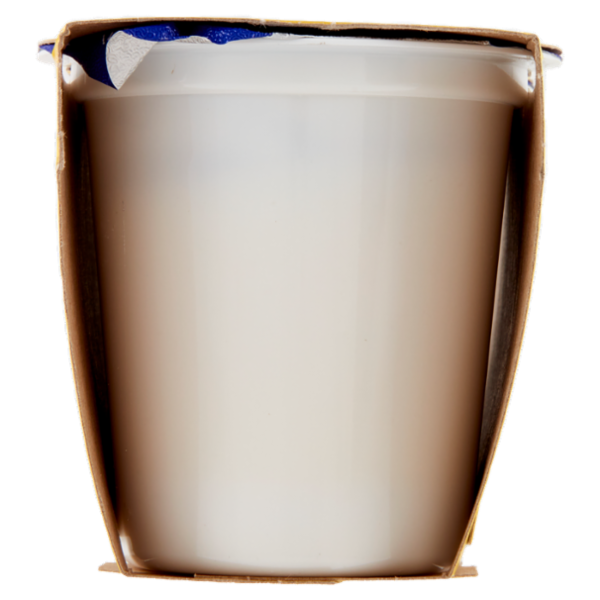 Centrale del latte Vicenza Yogurt Intero Frutta Frullata Pera 2 x 125 g