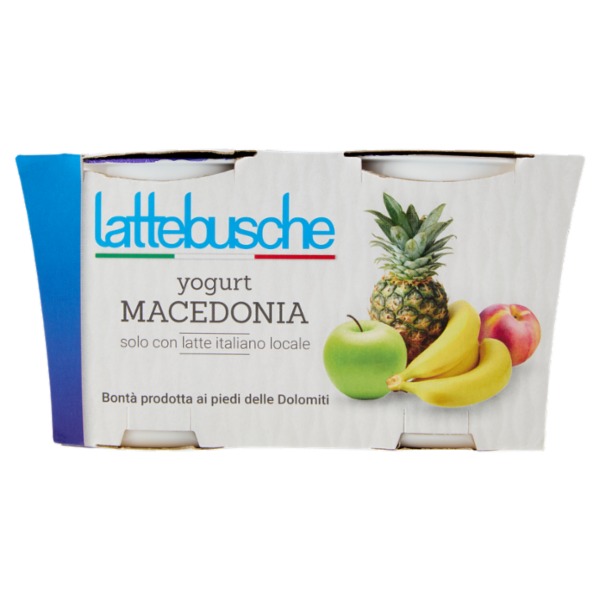 lattebusche yogurt Macedonia 2 x 125 g