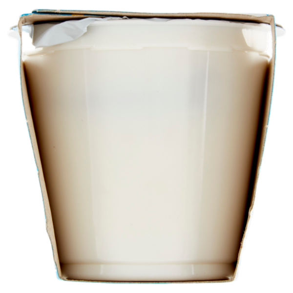 bella vita free Yogurt Magro Senza Lattosio Zero Grassi Ananas 2 x 125 g