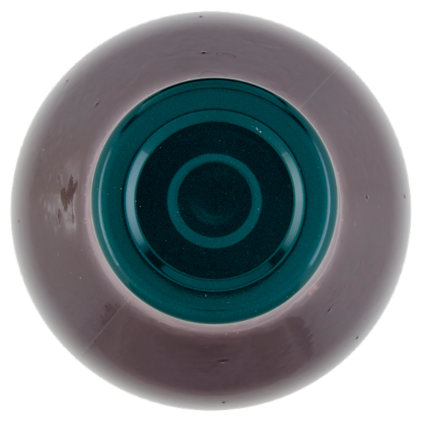 Bio Più Ti Voglio Bere Mirtillo 750 ml