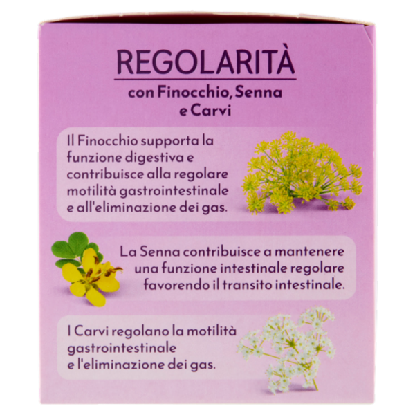 Bonomelli Tisane Regolarità 16 Filtri 32 g