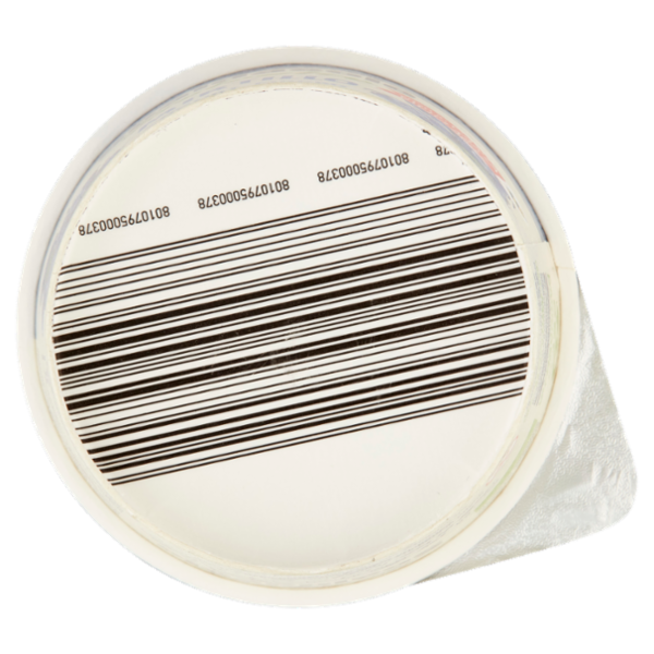 Scaldasole Biologico Mirtillo Yogurt Magro 250 g