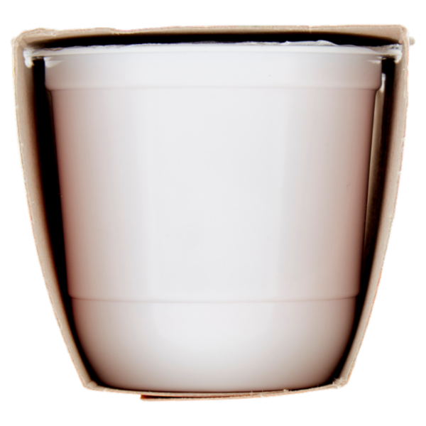 ZYMIL Alta Digeribilità Senza Lattosio Yogurt alla Fragola 2 x 125 g