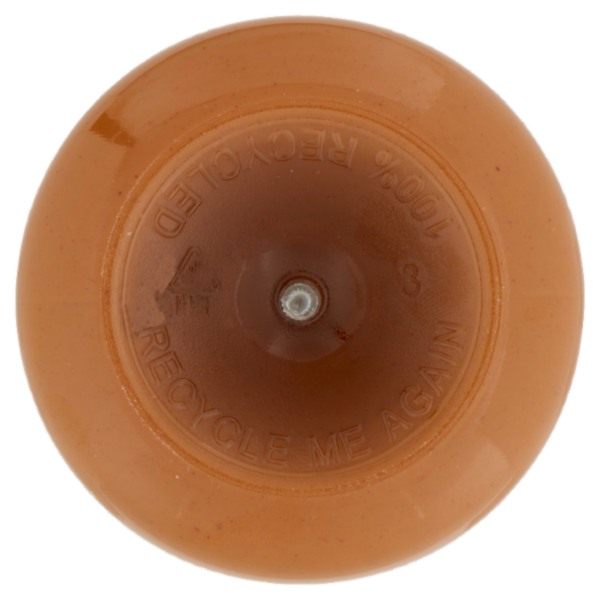 WHOLE EARTH Burro di Arachidi Cremoso Biologico, Crema Spalmabile, Vegan, Bottiglia Squeeze, 320g