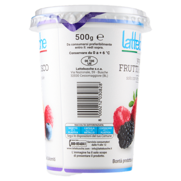 lattebusche yogurt Frutti di Bosco 500 g