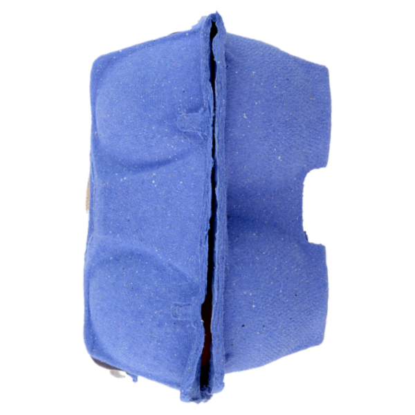 IL GIGANTE Uova da allevamento a terra 10 Uova Fresche Medie