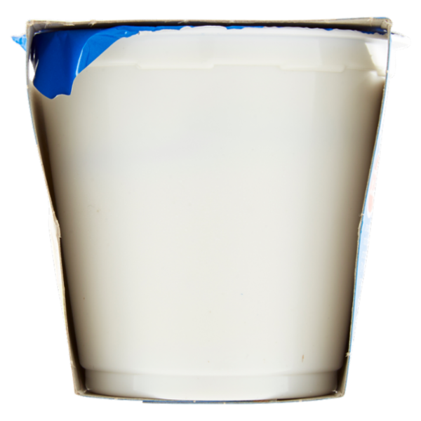 Selex Yogurt Intero Pistacchio 2x125 g