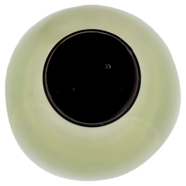 Pasqua Chardonnay Müller Thurgau Trevenezie IGT 750 ml