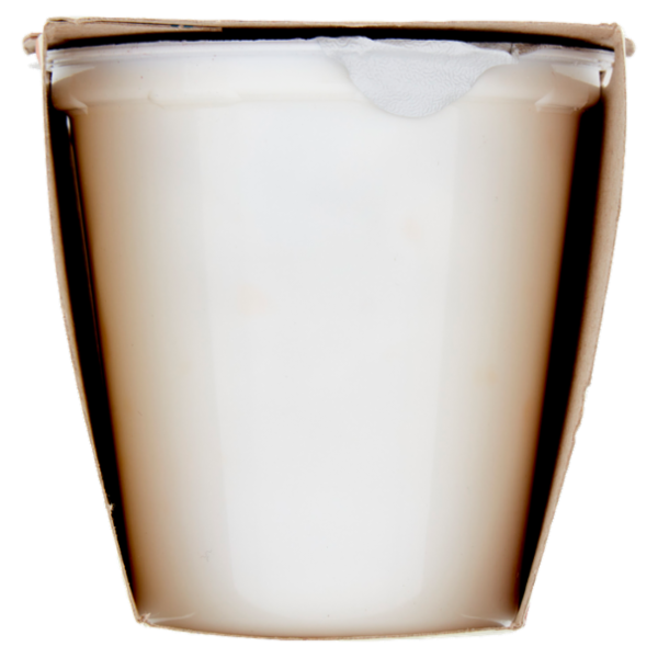 Consilia Yogurt Magro Senza Lattosio Pesca 2x125 g