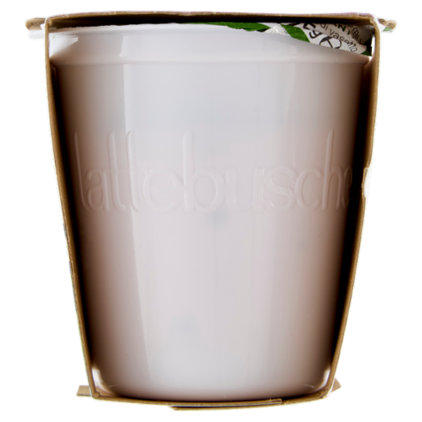 lattebusche Yogurt Bio Frutti Rossi 2 x 125 g