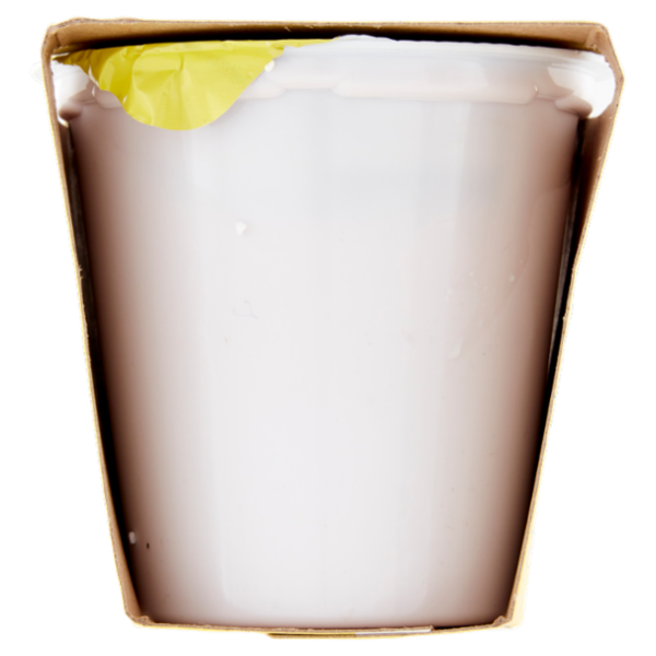 Arborea Yogurt Intero da Latte di Alta Qualità Ciliegia Frullata 2 x 125 g