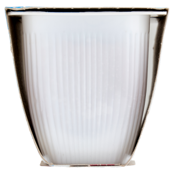 Valsoia Bontà e Salute il Budino Caramello ad alto contenuto di calcio 2 x 115 g