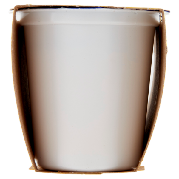 Centrale del latte Vicenza Yogurt Intero Frutta Frullata Albicocca 2 x 125 g