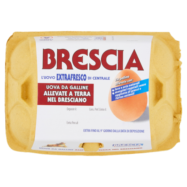 Brescia Uova da Galline Allevate a Terra nel Bresciano 6 Uova Extra Fresche Cat. A 340 g