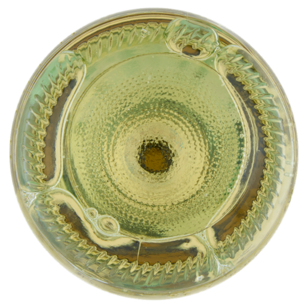 Pasqua Pinot Grigio delle Venezie DOC 750 ml