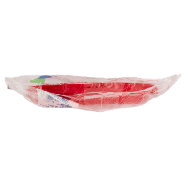 Natural Bibo Color piatti piani Rossi Biodegradabili e compostabili 20 pz