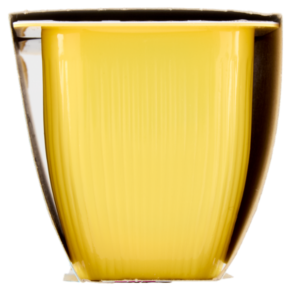 Valsoia Bontà e Salute la Crème gusto Vaniglia 2 x 115 g