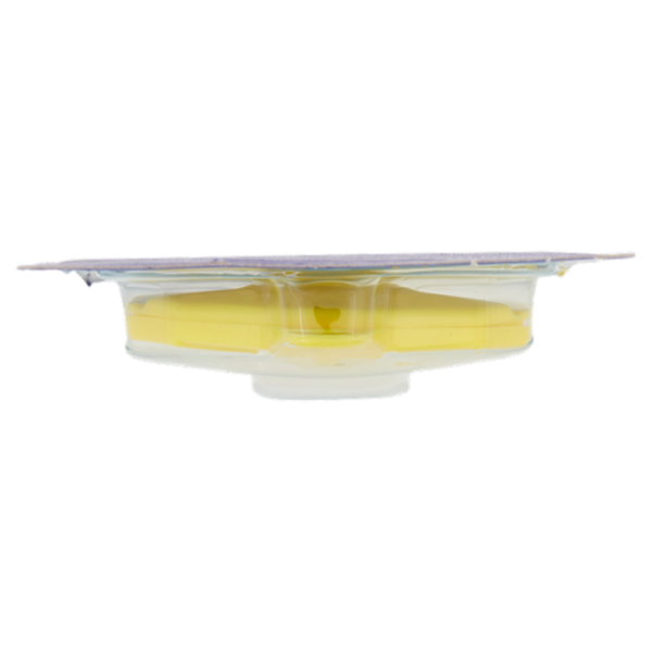 Consilia Deodorante per Lavastoviglie Limone 4 g