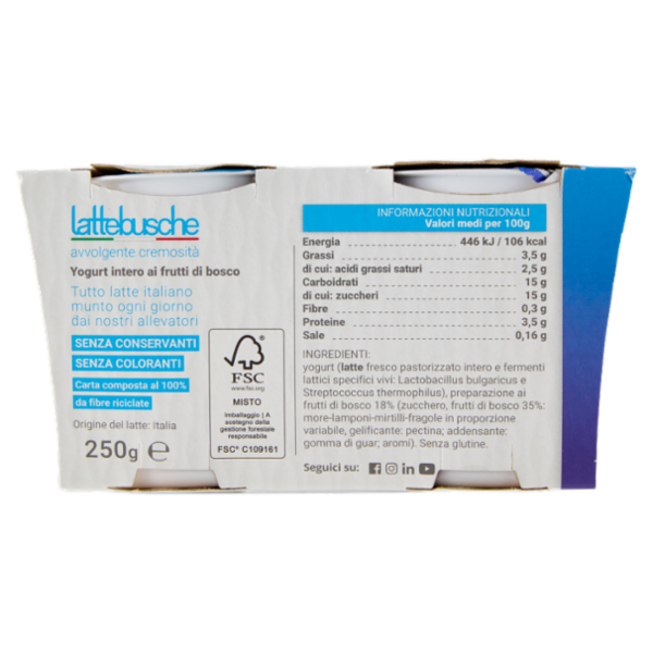 lattebusche yogurt Frutti di Bosco 2 x 125 g