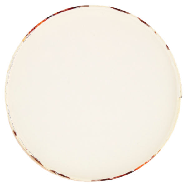 Sammontana Barattolino Classico Vaniglia e Cioccolato 500 g