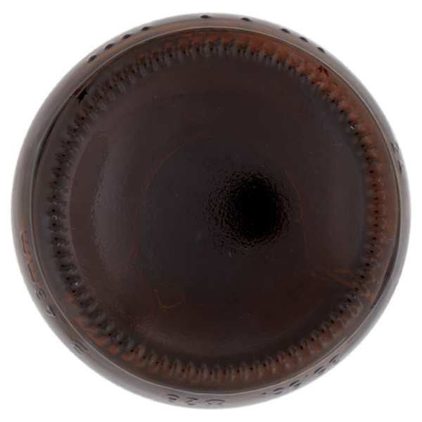 Lagunitas IPA India Pale Ale 355 ml