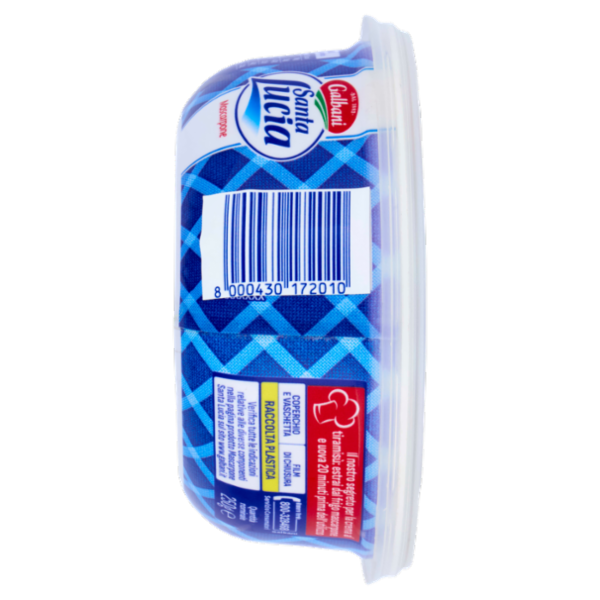 Galbani Santa Lucia Mascarpone 250 g