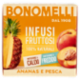 Bonomelli Infusi Fruttosi 100% Naturali Ananas e Pesca 12 Filtri 24 g
