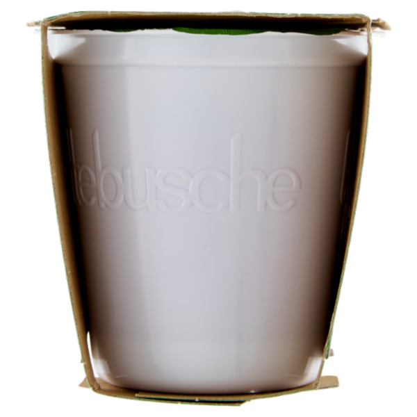 lattebusche Yogurt Bio Mirtilli 2 x 125 g