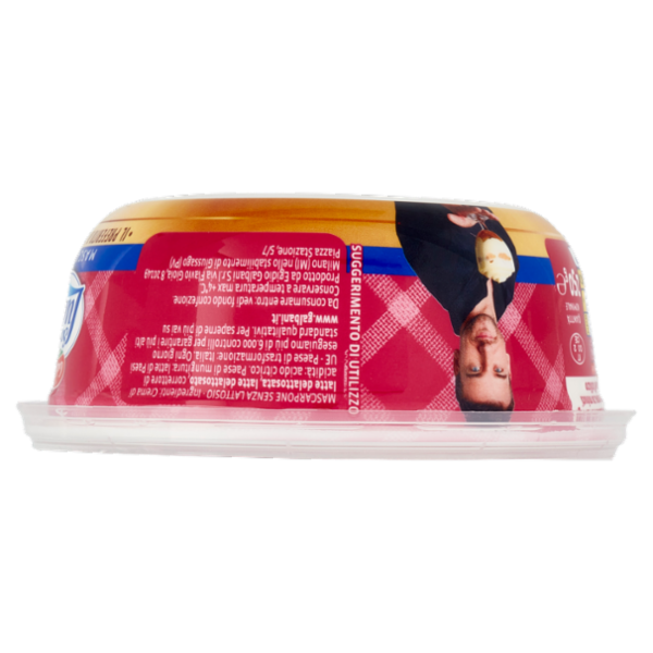 Galbani Santa Lucia Mascarpone il Senza Lattosio 250 g