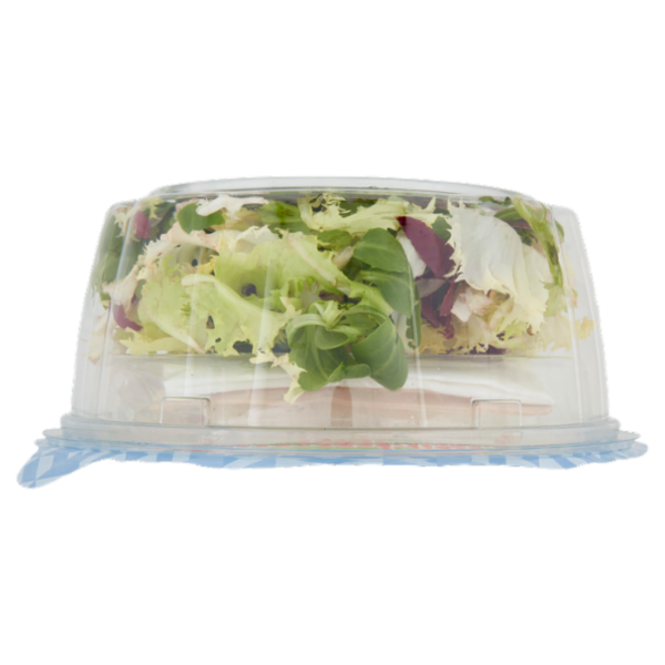 DimmidiSì Piatto unico goloso Caesar salad con Grana Padano 135 g