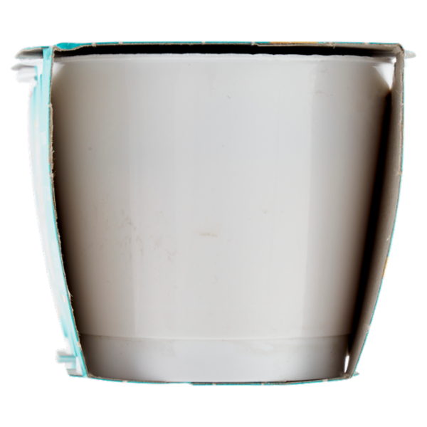 Granarolo Bimbi Crema Crescita Fiordilatte 2 x 100 g