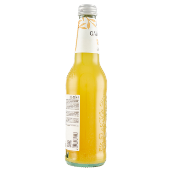 Galvanina Aranciata Biologica 355 ml