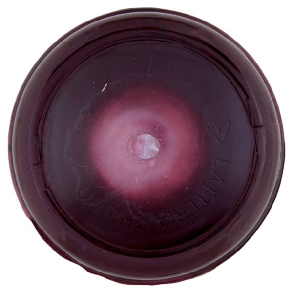 AlpiYò Valtellina Yogurt di Montagna con Confettura Extra di Frutti di Bosco 125 g