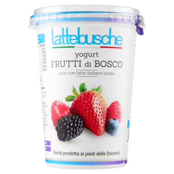 lattebusche yogurt Frutti di Bosco 500 g