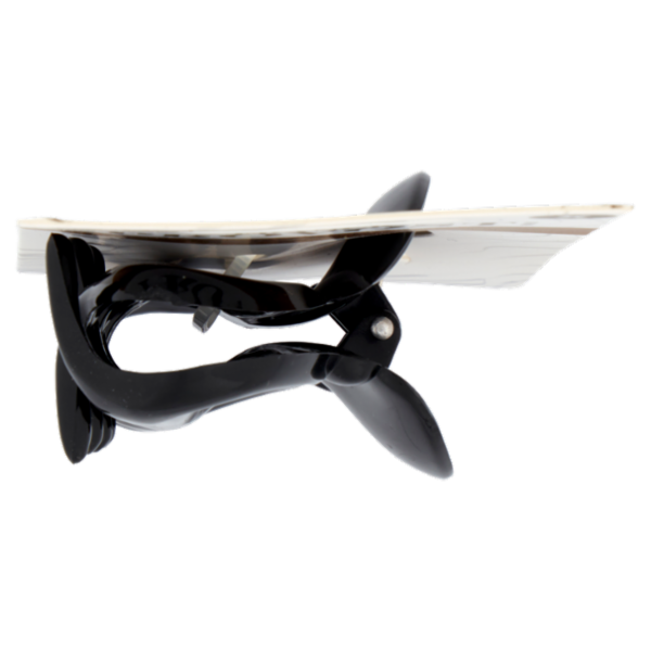 Franck Provost Pince