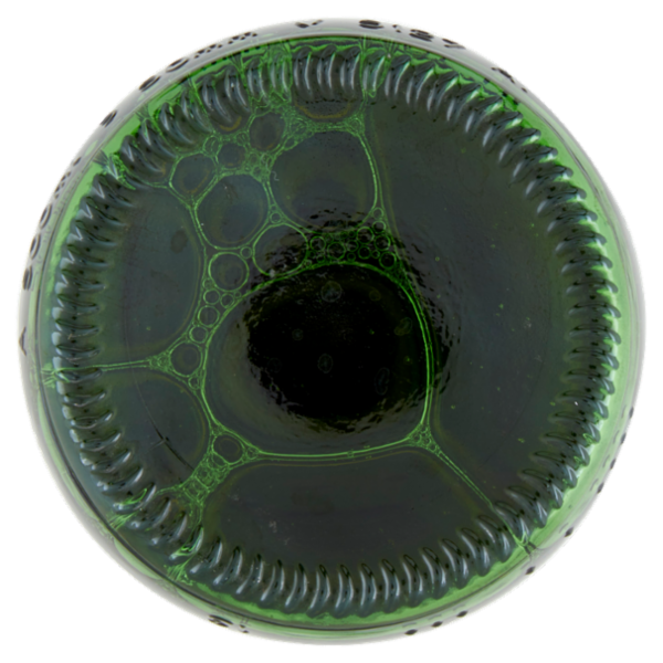 Carlsberg Pilsner 50 cl