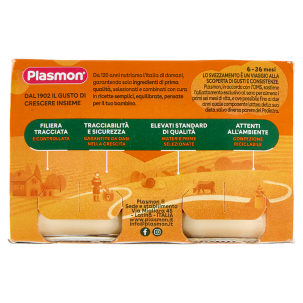Plasmon Banana Yogurt* Omogeneizzato con Fermenti Lattici Pastorizzati 2 x 120 g