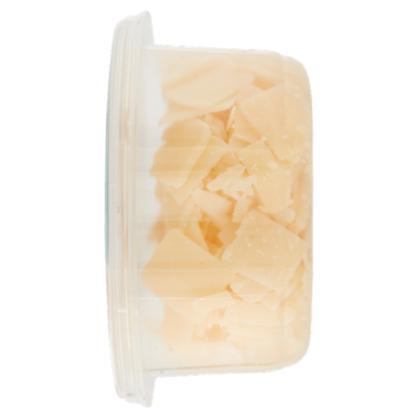 Zanetti Grana Padano DOP 0.100 Kg