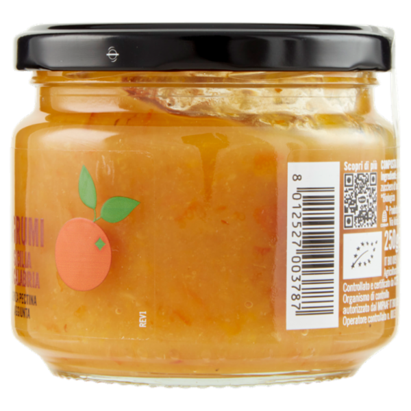 Mielizia Bio Agrumi Sicilia e Calabria 250 g