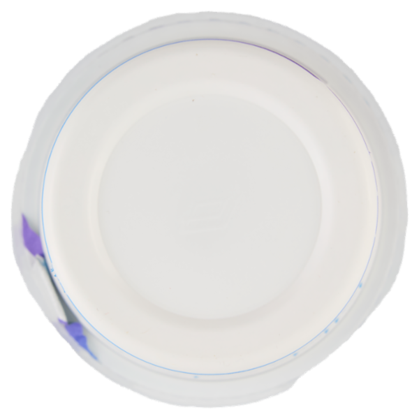 lattebusche yogurt Bianco 500 g