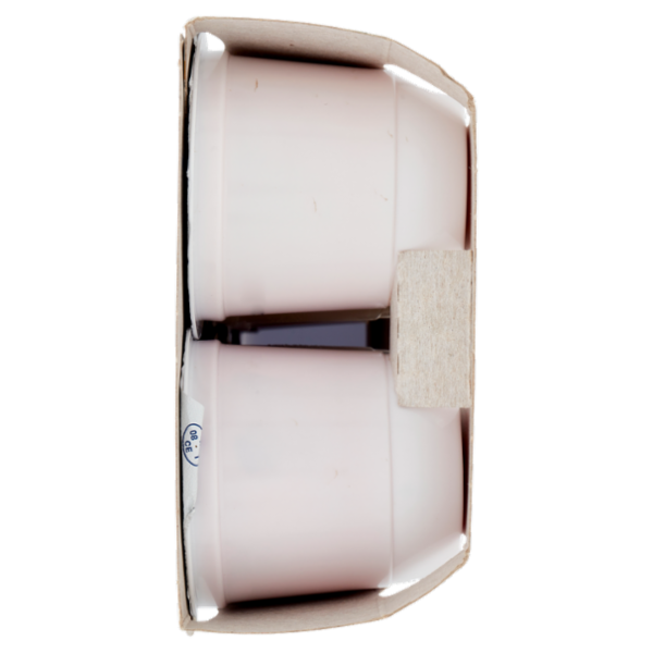 parmalat Yogurt Intero con Frutta in Pezzi 2 Fragola, 2 Ananas, 2 Ciliegia, 2 Frutti di Bosco 8x125g