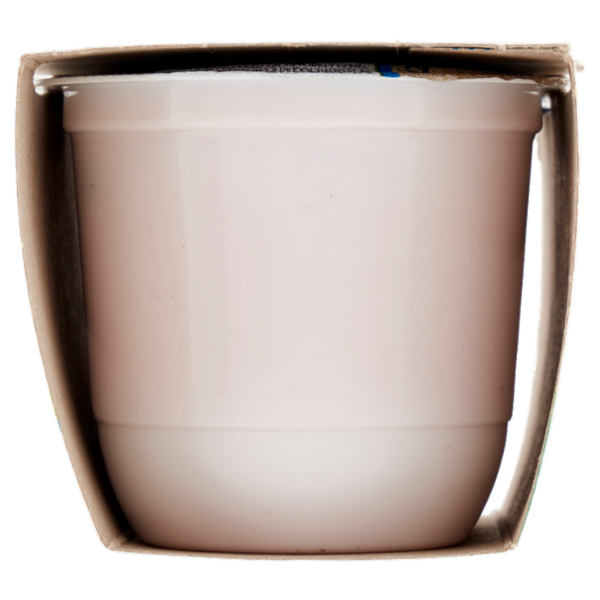 parmalat Yogurt Intero alla Fragola Vellutato 2 x 125 g