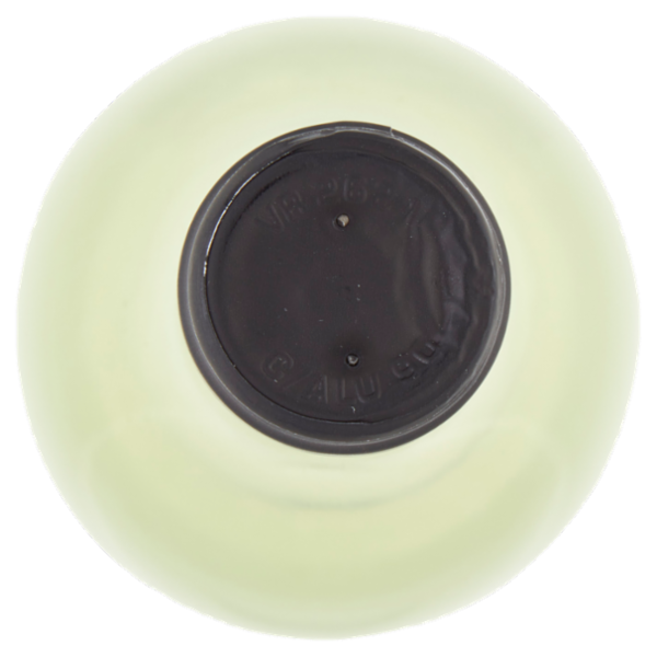 Pasqua Pinot Chardonnay Trevenezie IGT 750 ml