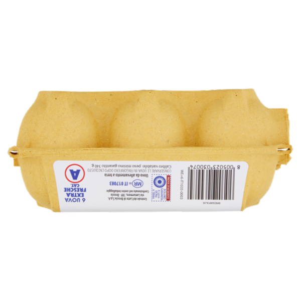 Brescia Uova da Galline Allevate a Terra nel Bresciano 6 Uova Extra Fresche Cat. A 340 g