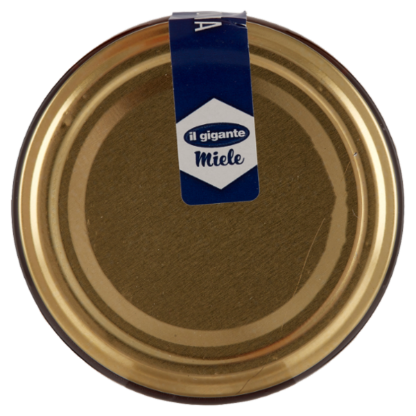 IL GIGANTE Miele di Melata 500 g