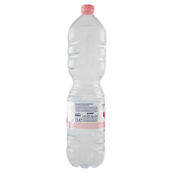 Alpe Guizza Fonte Caudana Naturale 1,5 L